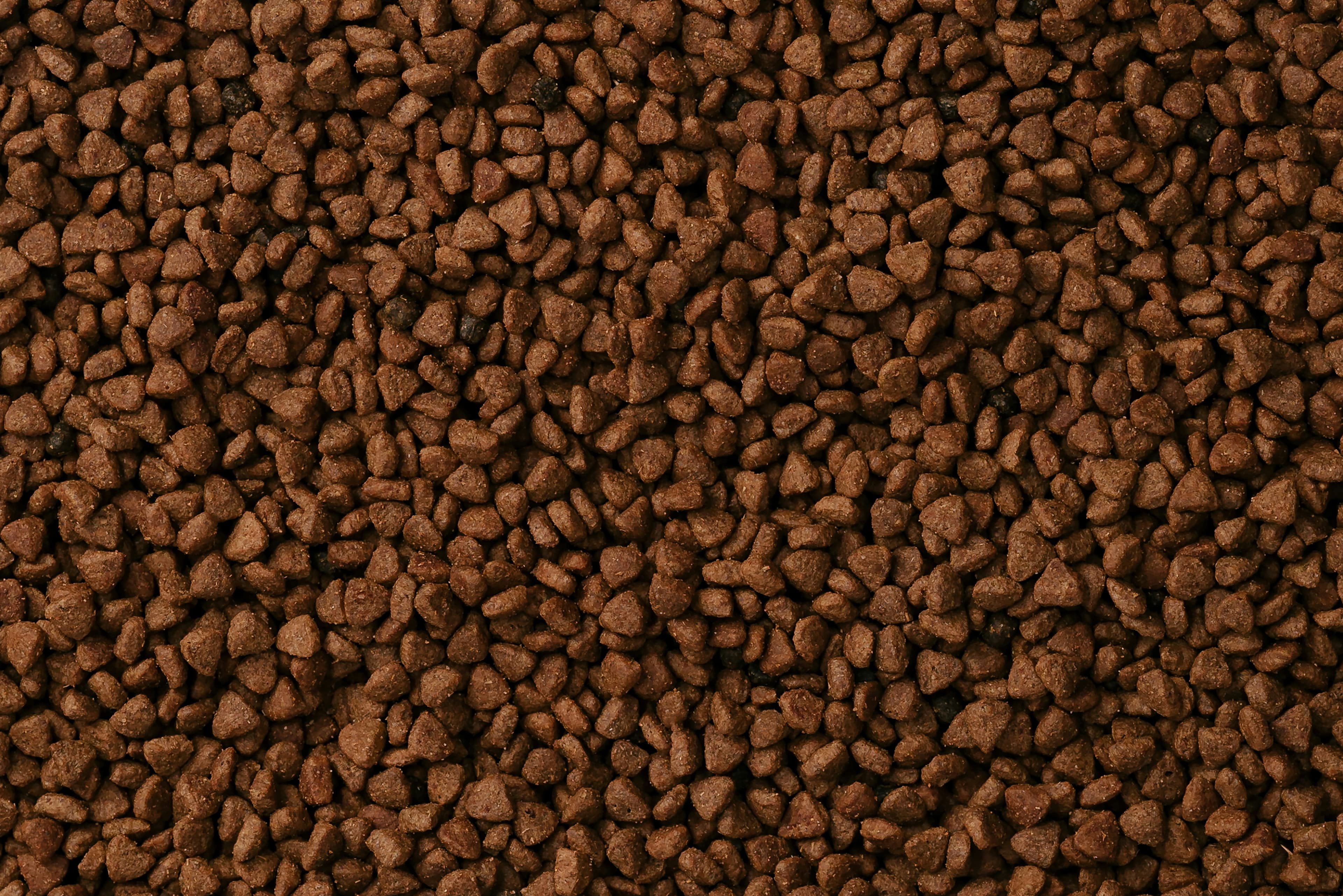 Dog food background